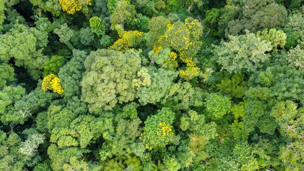 Les énergies renouvelables : une transformation radicale de notre quotidien